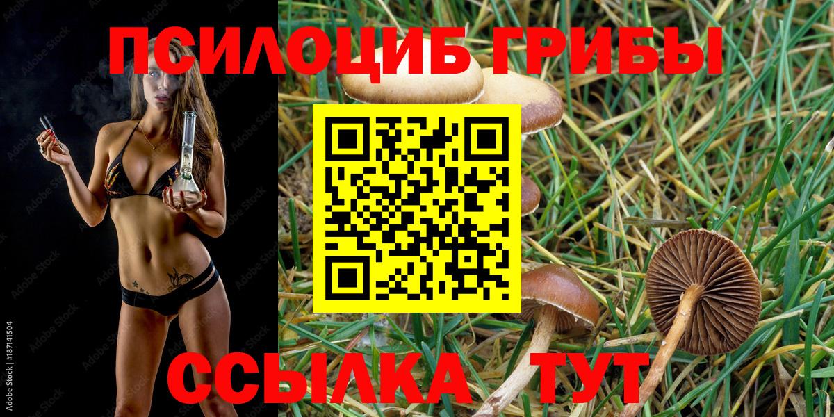 Псилоцибиновые грибы мухоморы  Псилоцибиновые грибы ЛСД  Вход с VPN  Великий Устюг 